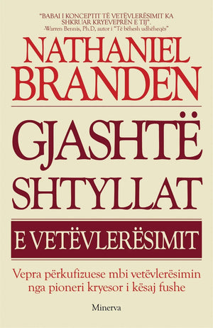 GJASHTE SHTYLLAT E VETEVLERESIMIT